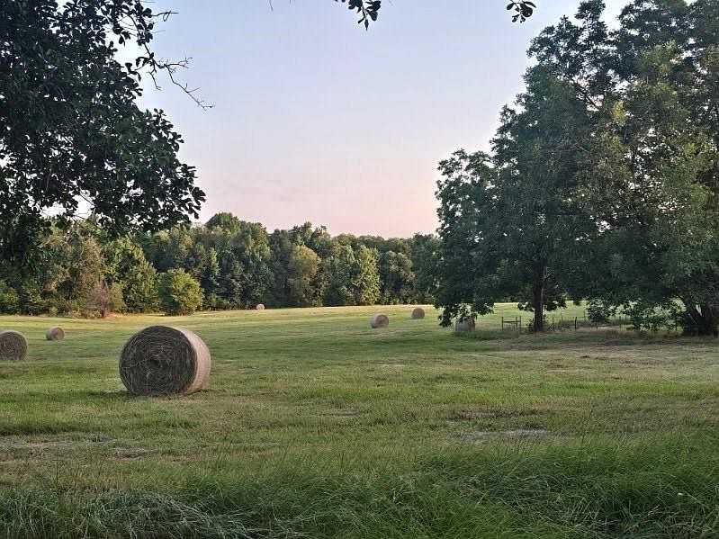 20086 County Road 299 property in Arp, Texas