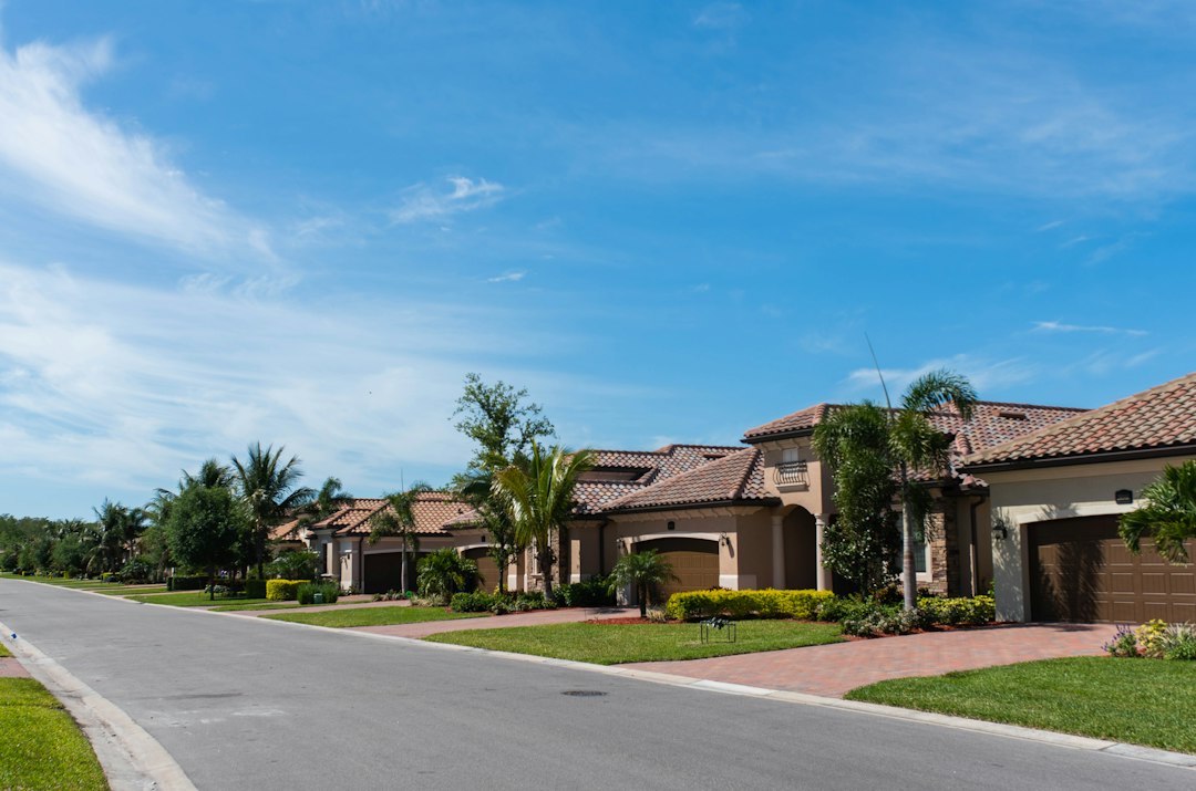 Residential neighborhood with palm trees and homes representing long-term rentals near Celebration Florida