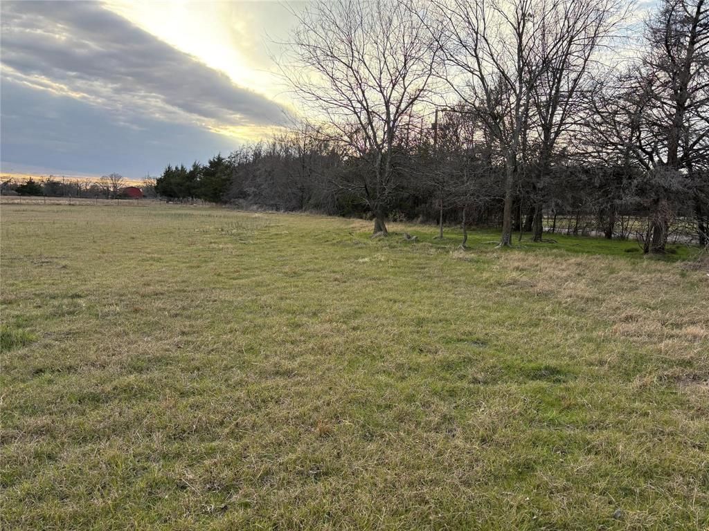 Field and tree line in the County Road 2326 land listing near Terrell