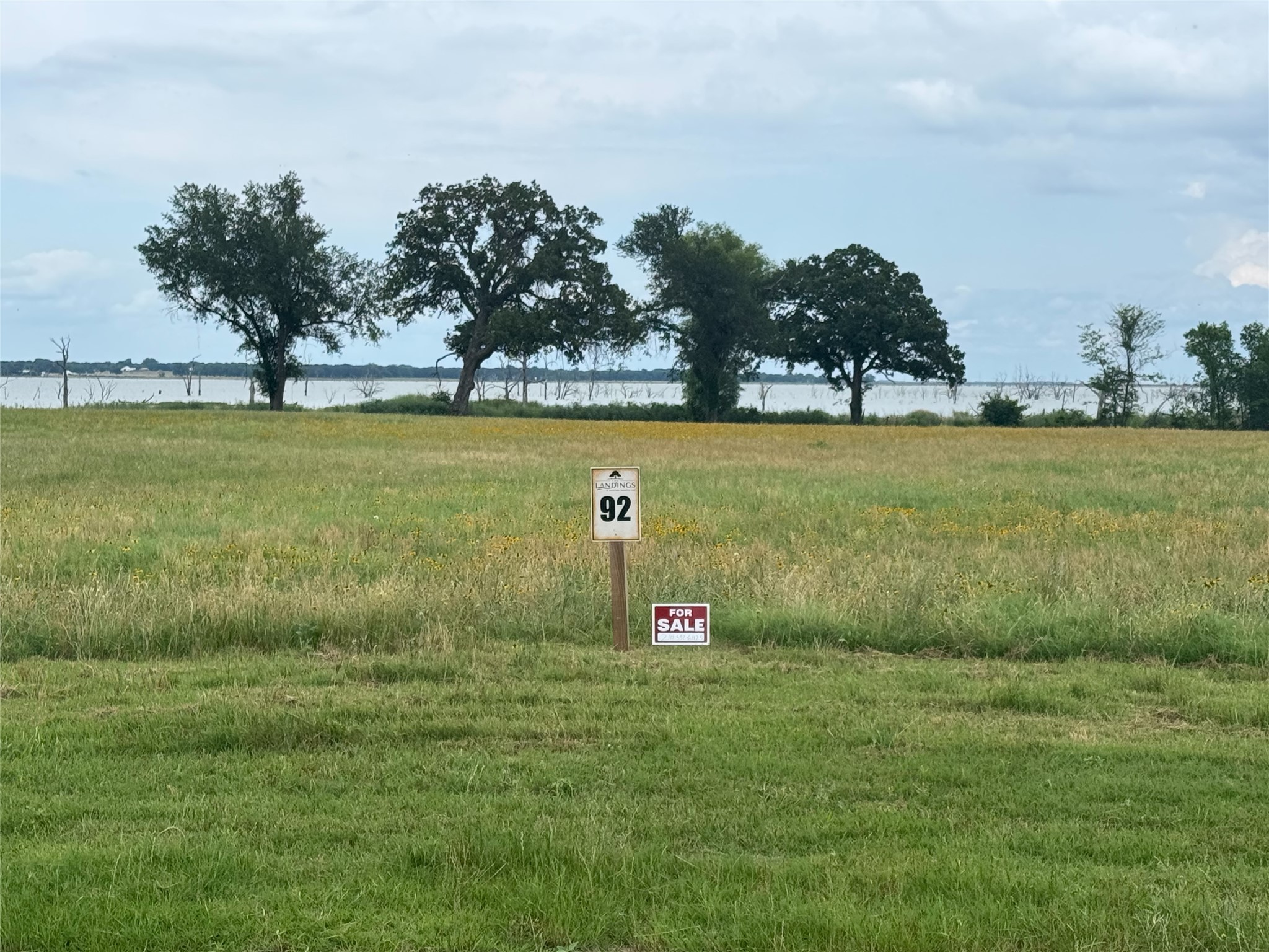 Listing photograph of Lot 92 at The Landings on Richland Chambers in Richland, Texas