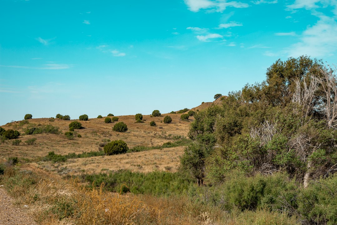 Open West Texas landscape representing Midland and the Permian Basin