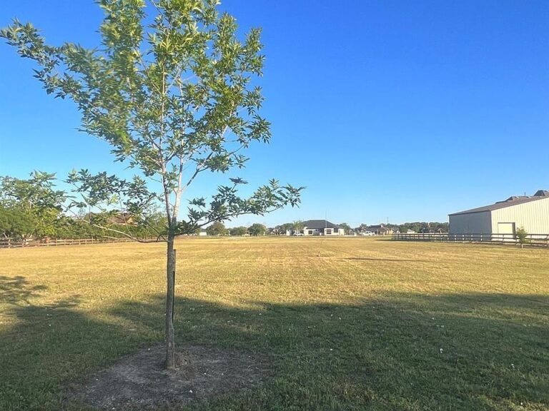 Land at 13702 Lakeview Meadow Drive in Richmond, Texas