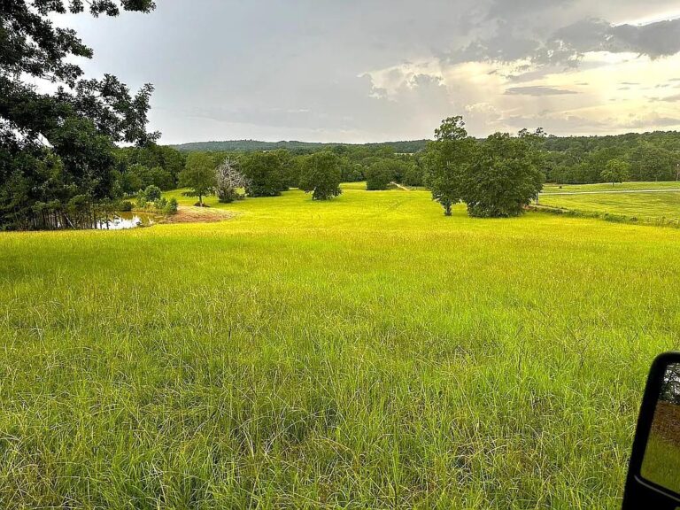 Historical property photograph of the field, pond and trees at 1840 County Road 1306 in Rusk