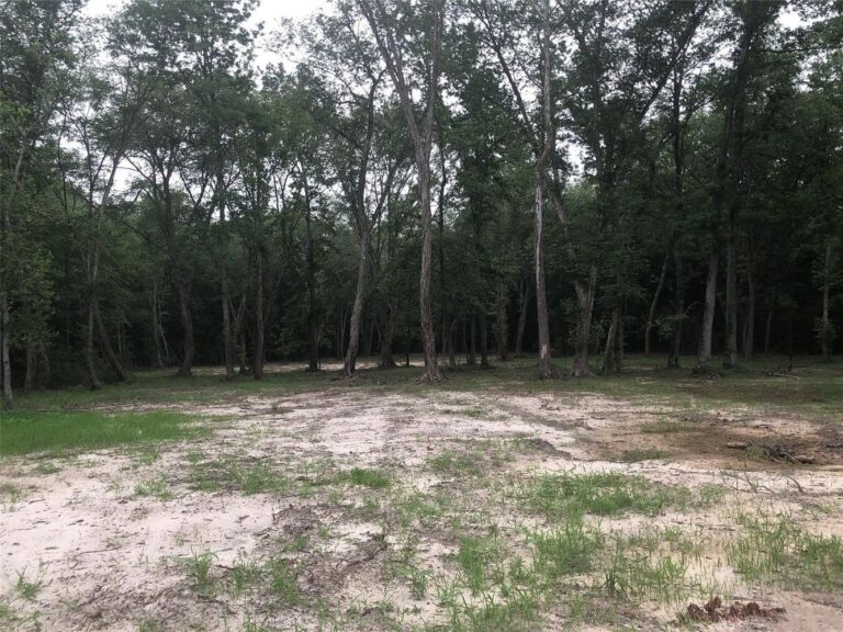 Wooded clearing pictured in the listing for 1841 PR 1315 Lot 60 in Centerville, Texas
