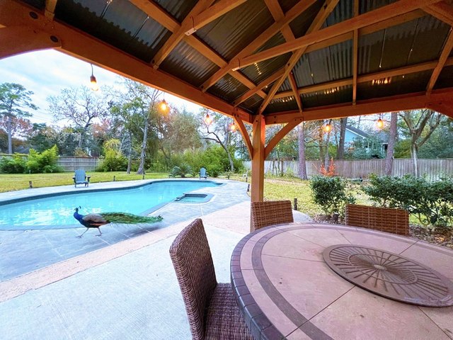 Covered patio and swimming pool at 19 Windermere Lane in Houston, Texas
