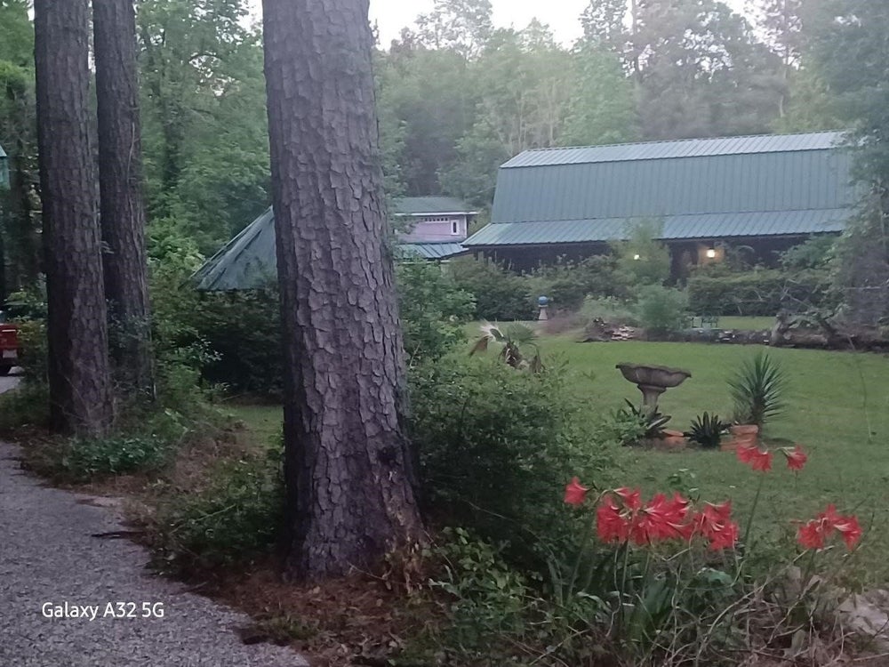 Listing photo of 755 Evangeline Dr Vidor, TX 77662