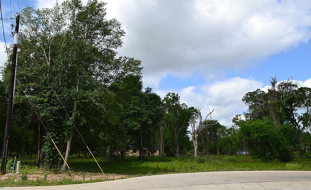 Actual property photo for 4602 Cottonwood Run in Alvin, Texas