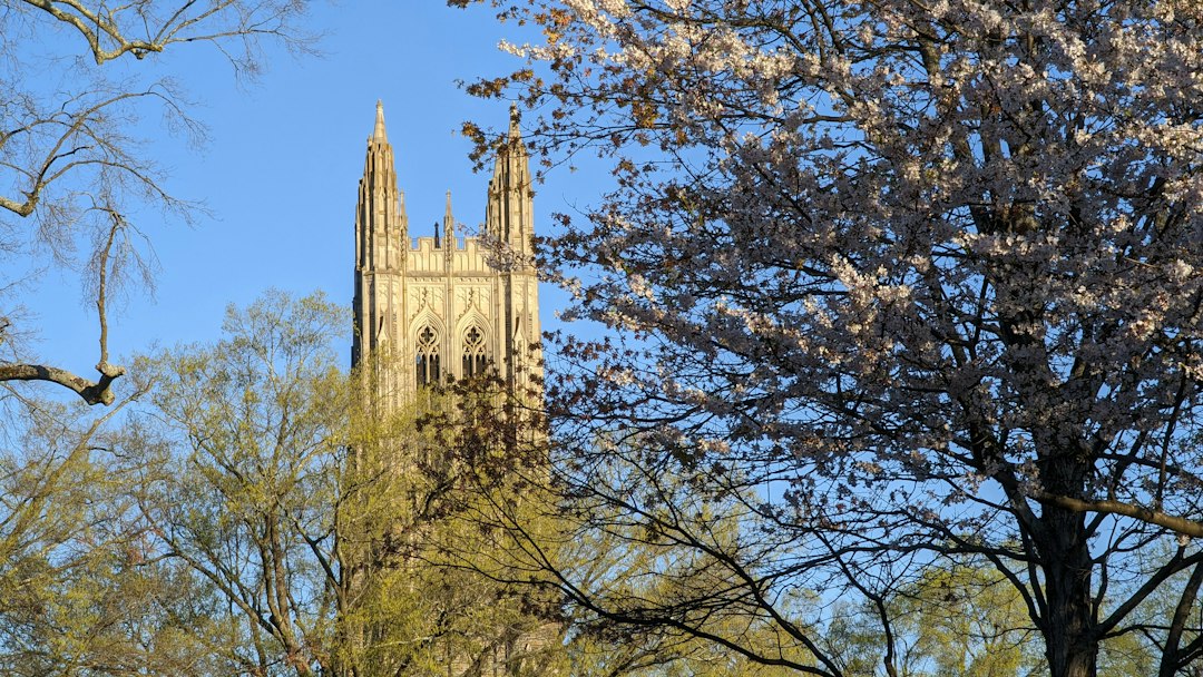 Duke University Chapel tower above the trees in Durham North Carolina