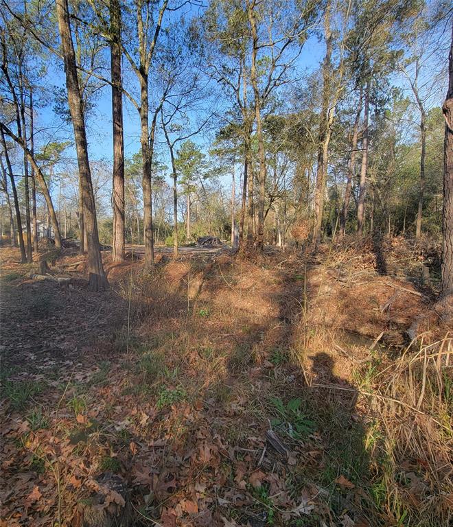 Wooded Fenham Lane property in Eaton’s historical Riverwood listing