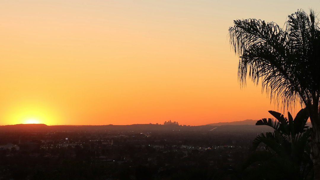 Los Angeles skyline at a warm sunset with palm trees